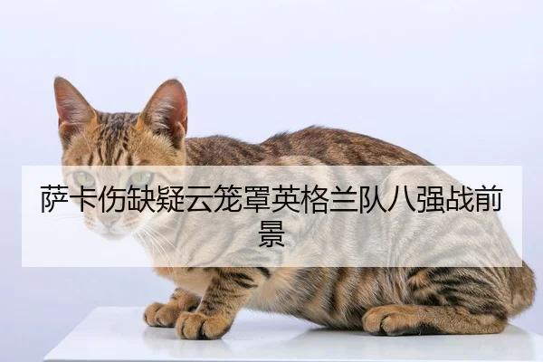 萨卡伤缺疑云笼罩英格兰队八强战前景