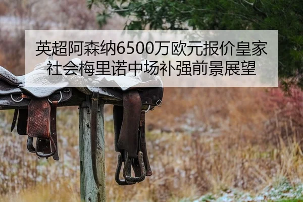 英超阿森纳6500万欧元报价皇家社会梅里诺中场补强前景展望