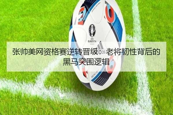 张帅美网资格赛逆转晋级：老将韧性背后的黑马突围逻辑